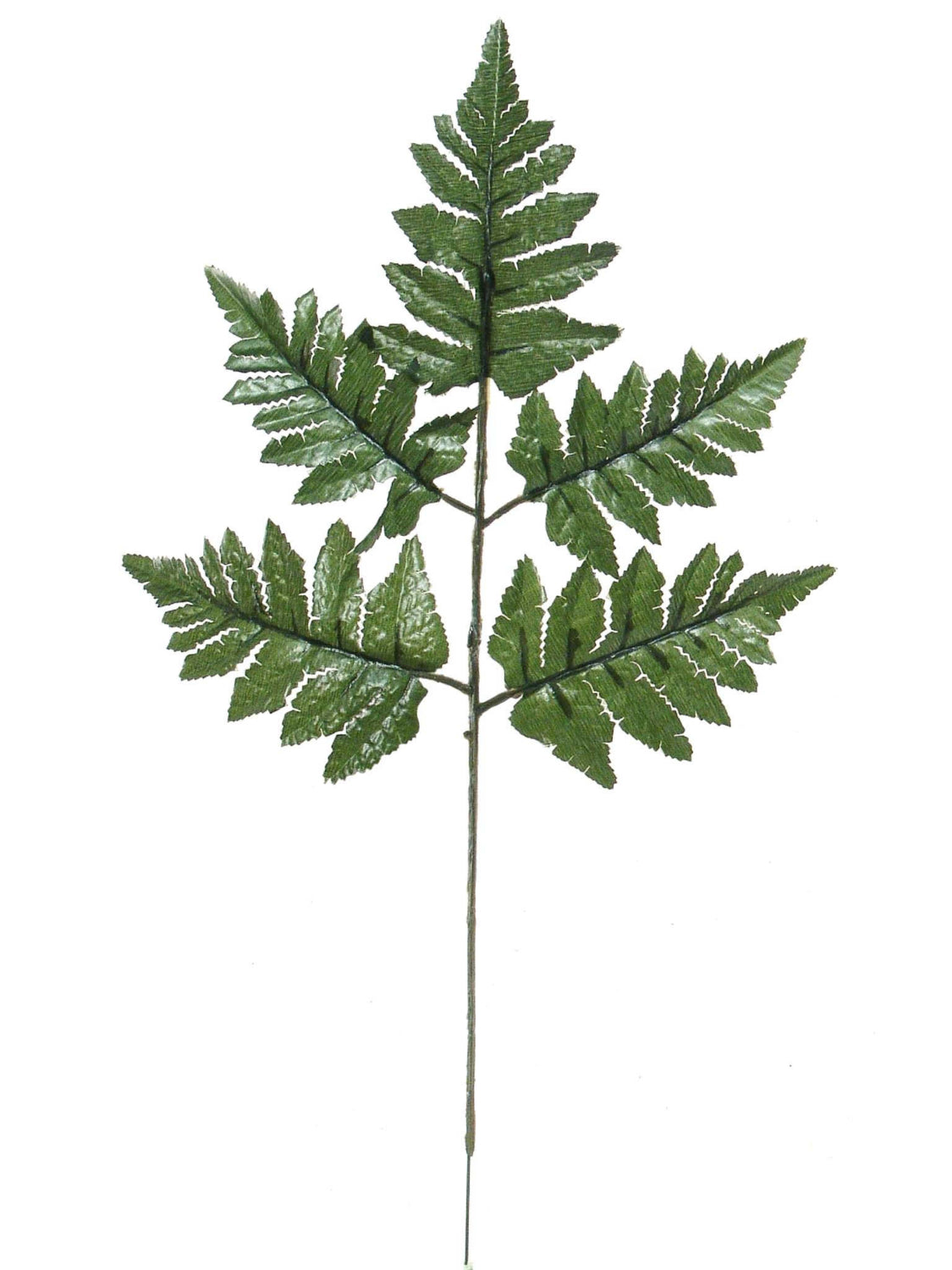 SHINY LEATHER FERN 2024 Christmas Collection - Larksilk