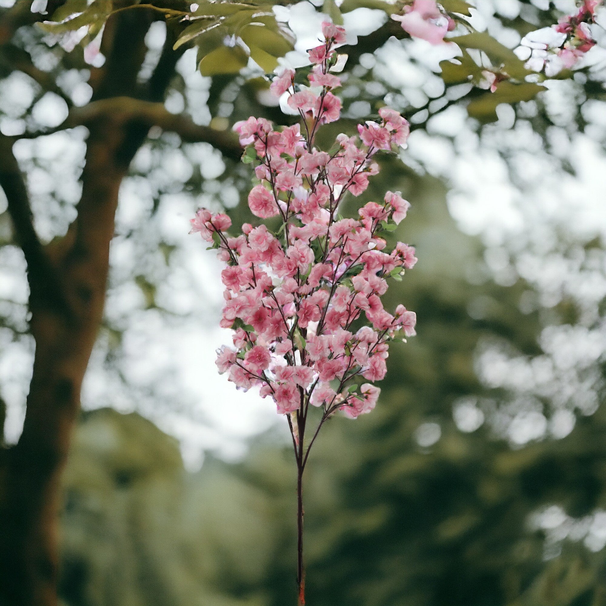 Cherry Blossom Branch Spray - 52" - Larksilk