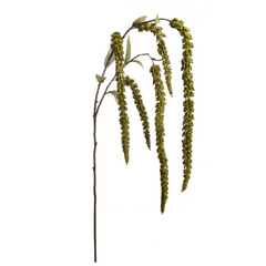 Hanging Amaranthus Spray - 32" - Larksilk