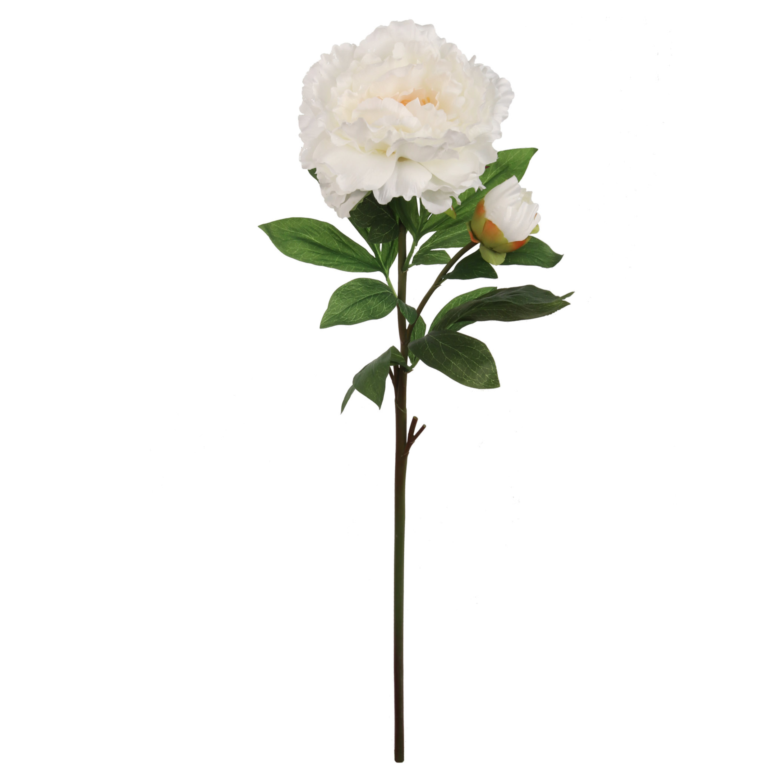 30" Peony Stem - Larksilk