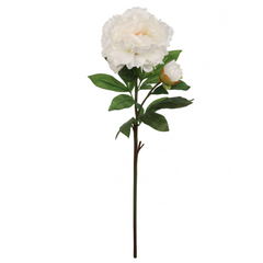 30" Peony Stem - Larksilk