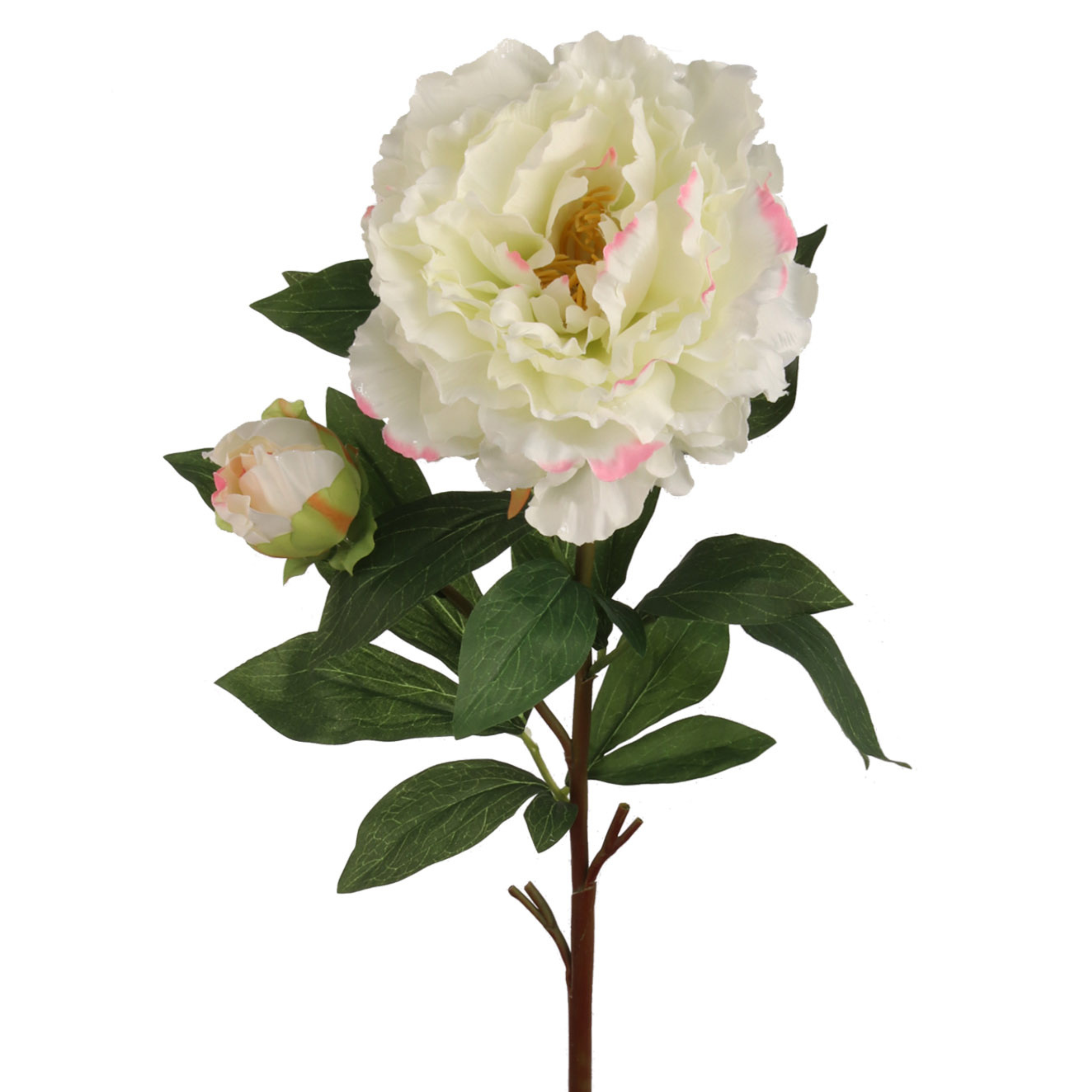 30" Peony Stem - Larksilk