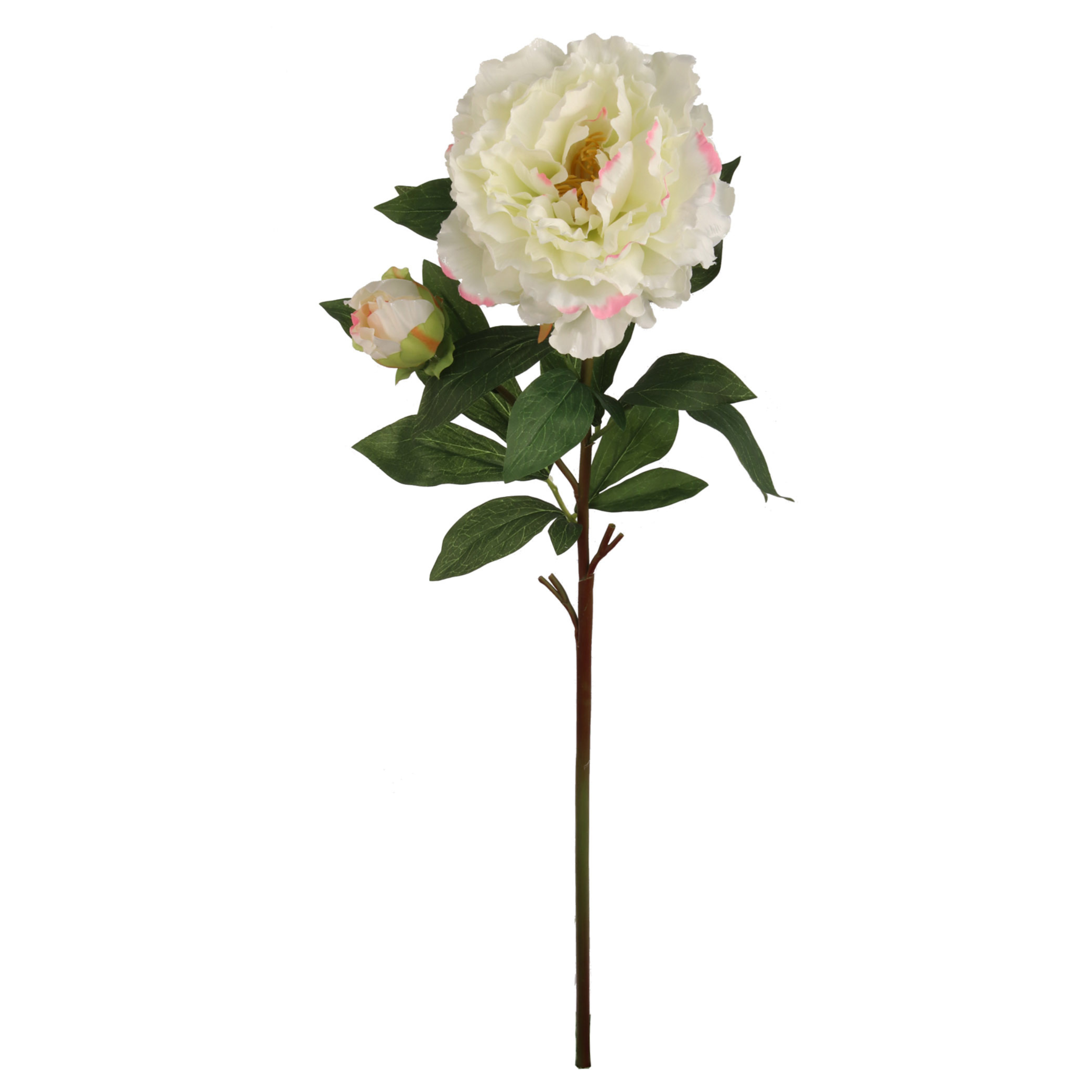 30" Peony Stem - Larksilk