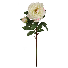 30" Peony Stem - Larksilk