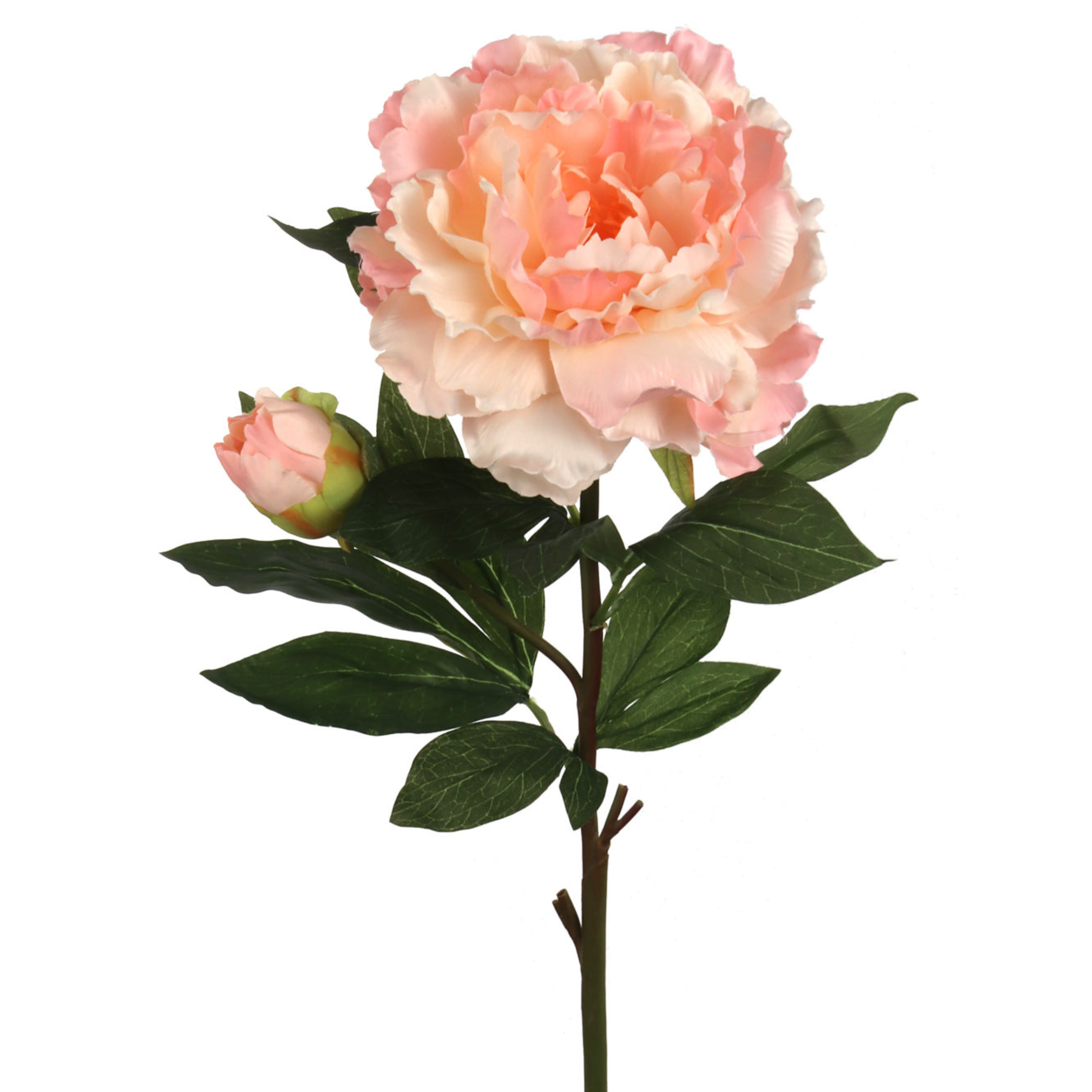 30" Peony Stem - Larksilk