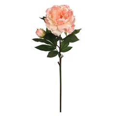 30" Peony Stem - Larksilk