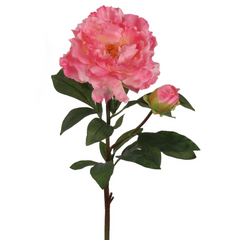 30" Peony Stem - Larksilk