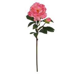 30" Peony Stem - Larksilk