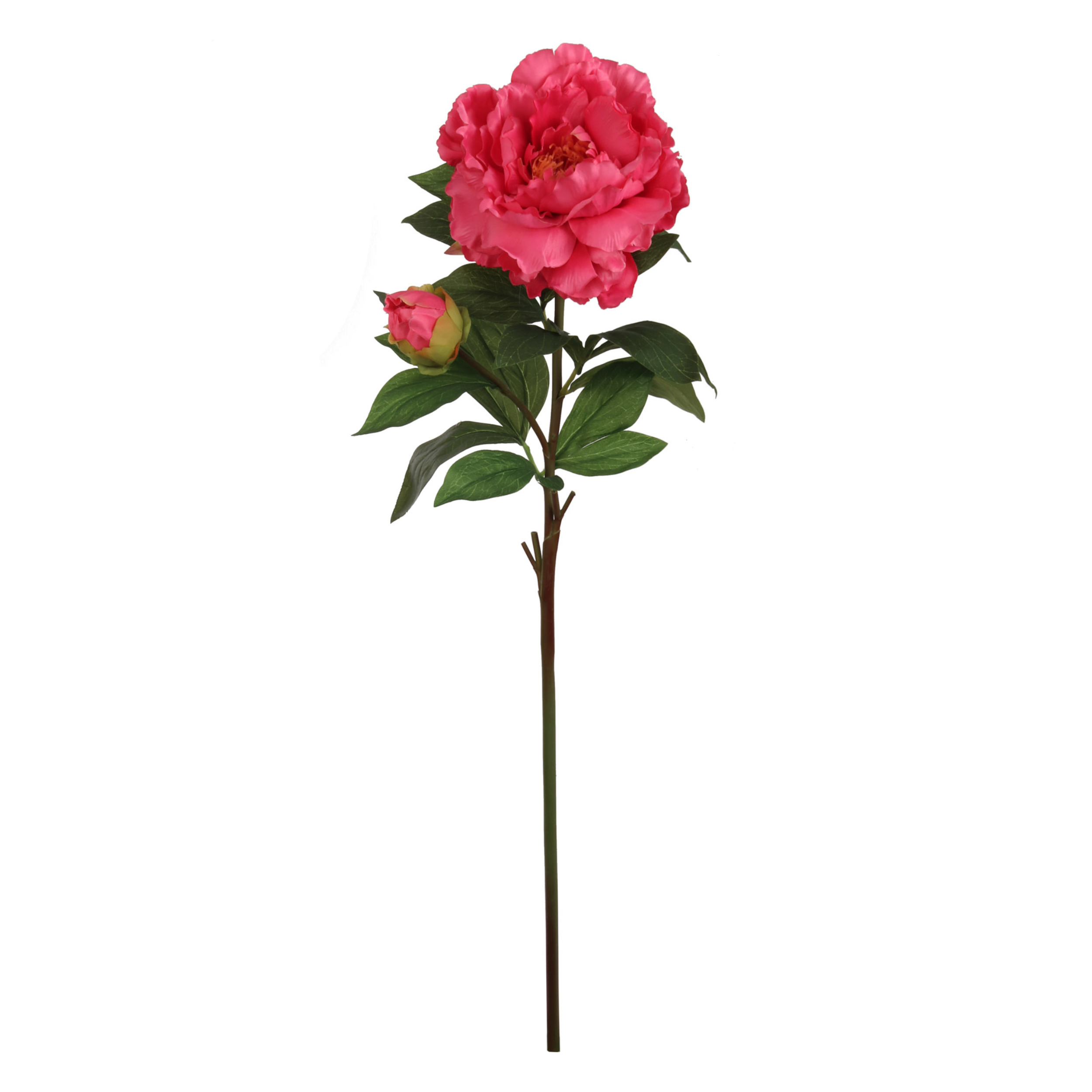 30" Peony Stem - Larksilk