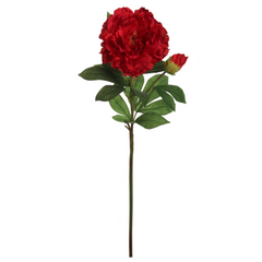 30" Peony Stem - Larksilk