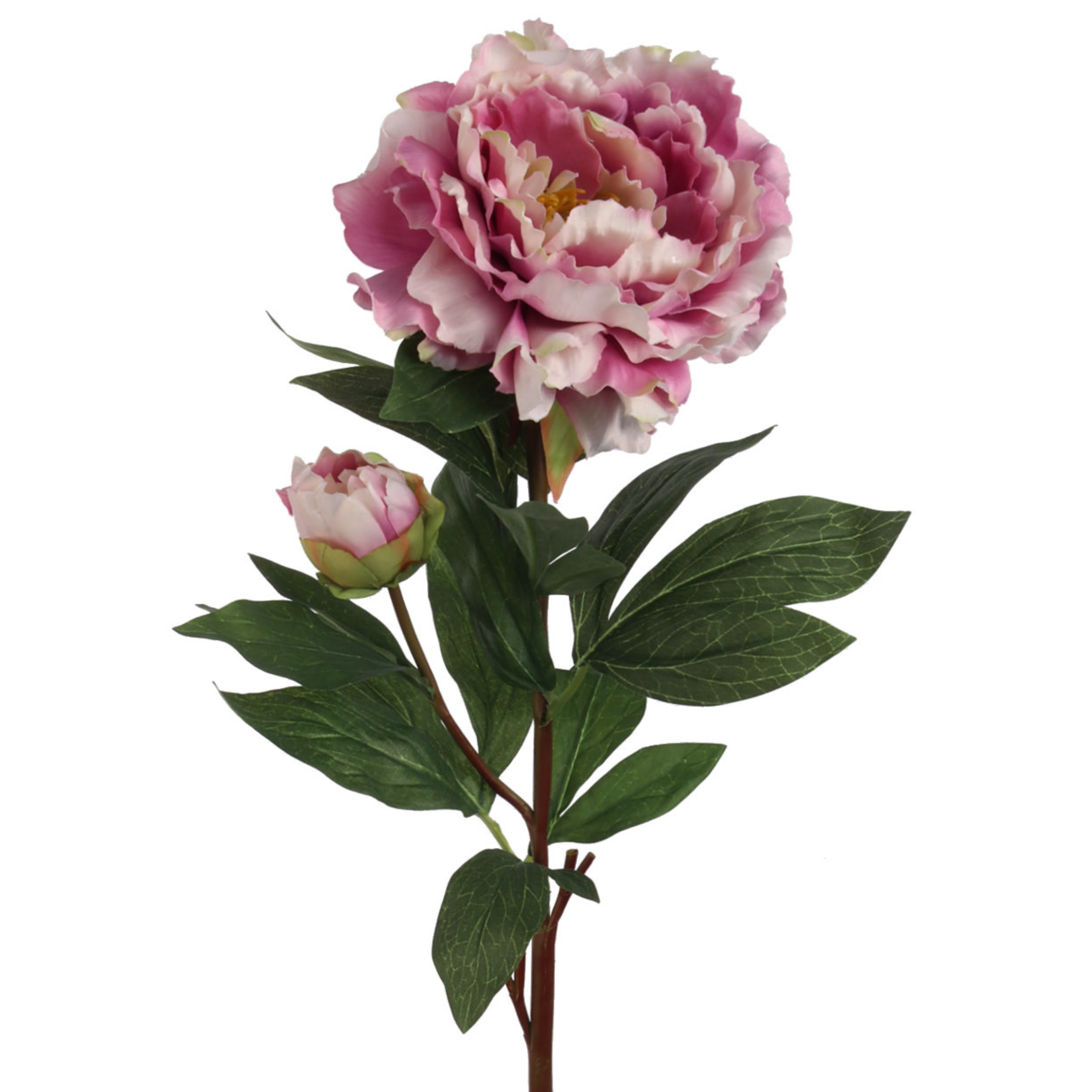 30" Peony Stem - Larksilk