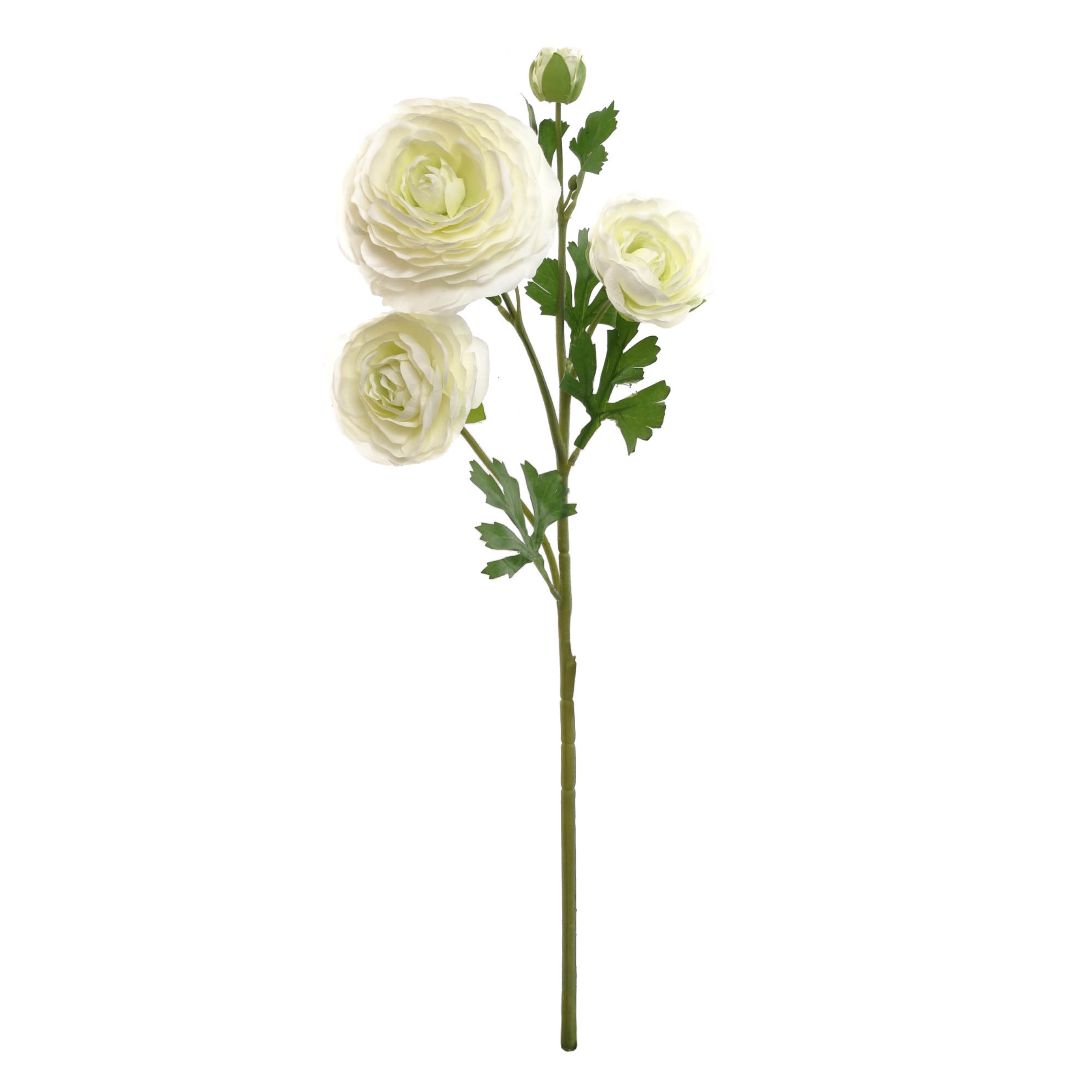Ranunculus Spray - 26" - Larksilk