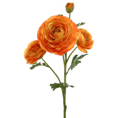 Ranunculus Spray - 26" - Larksilk