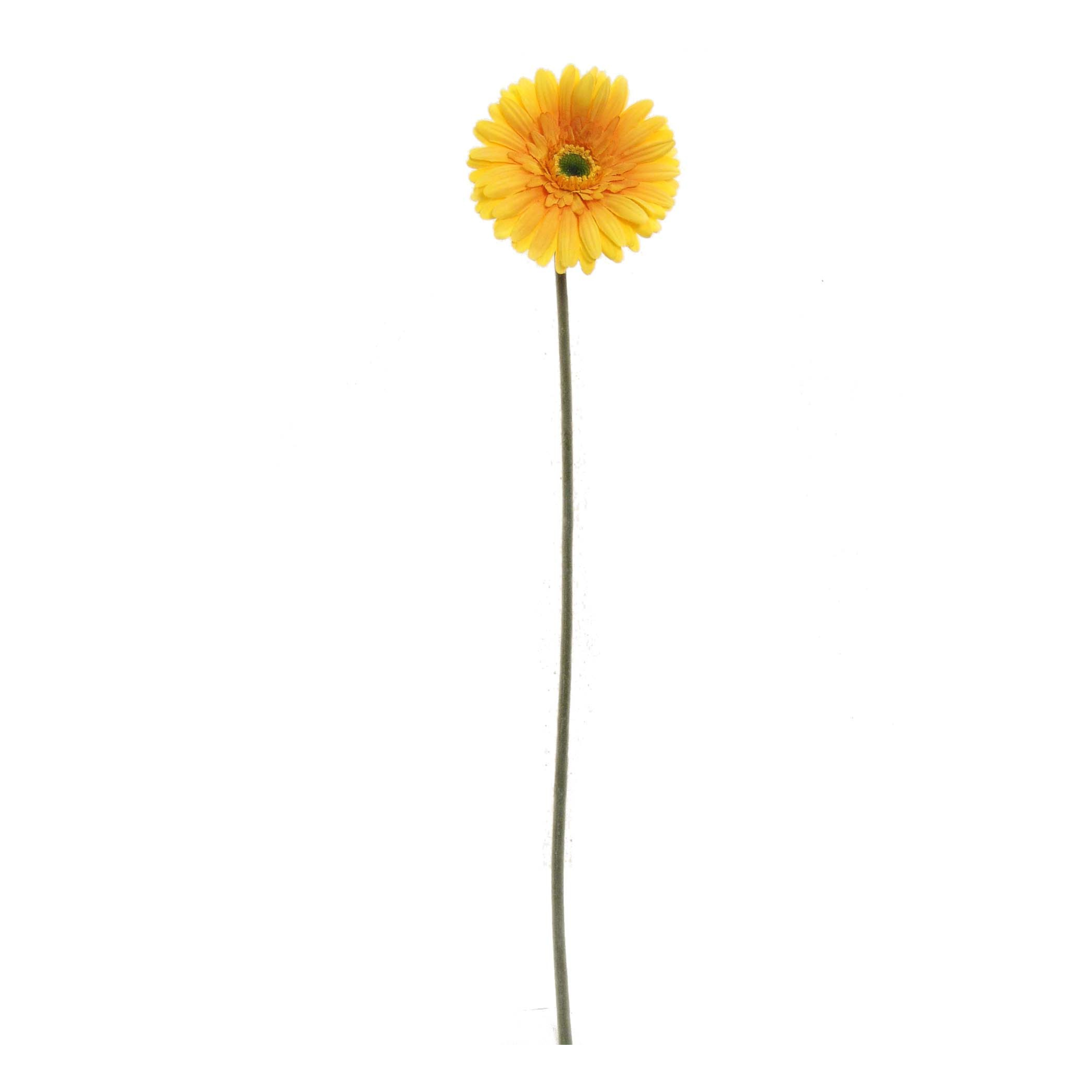 25" Gerbera Daisy Stem - Larksilk