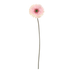25" Gerbera Daisy Stem - Larksilk