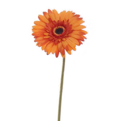 25" Gerbera Daisy Stem - Larksilk