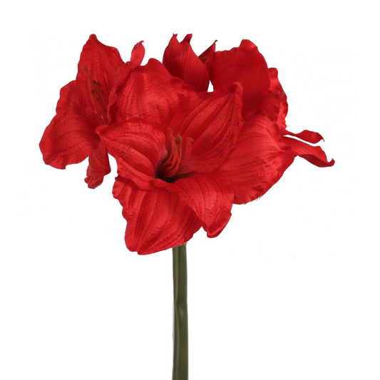 28" Amaryllis Stem - Larksilk