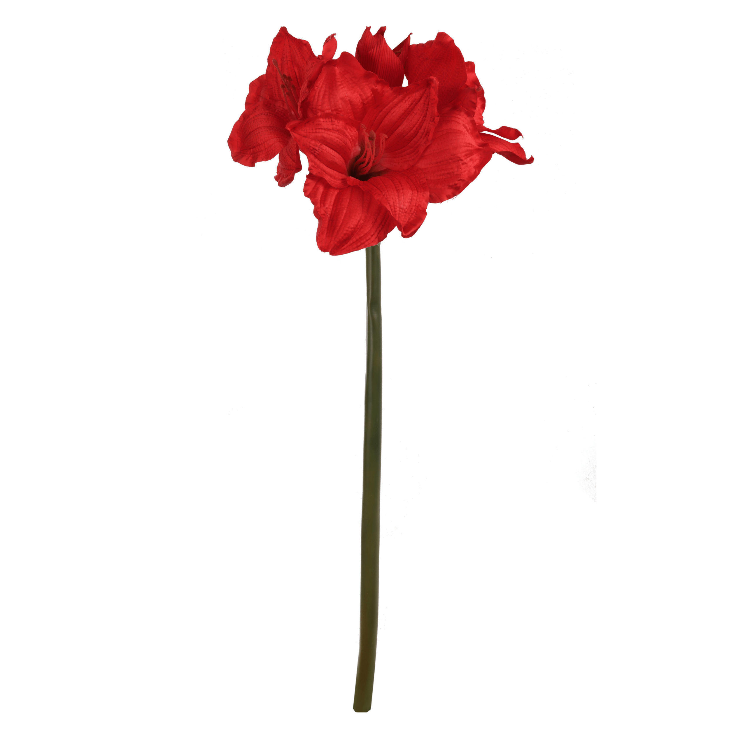 28" Amaryllis Stem - Larksilk