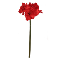 28" Amaryllis Stem - Larksilk