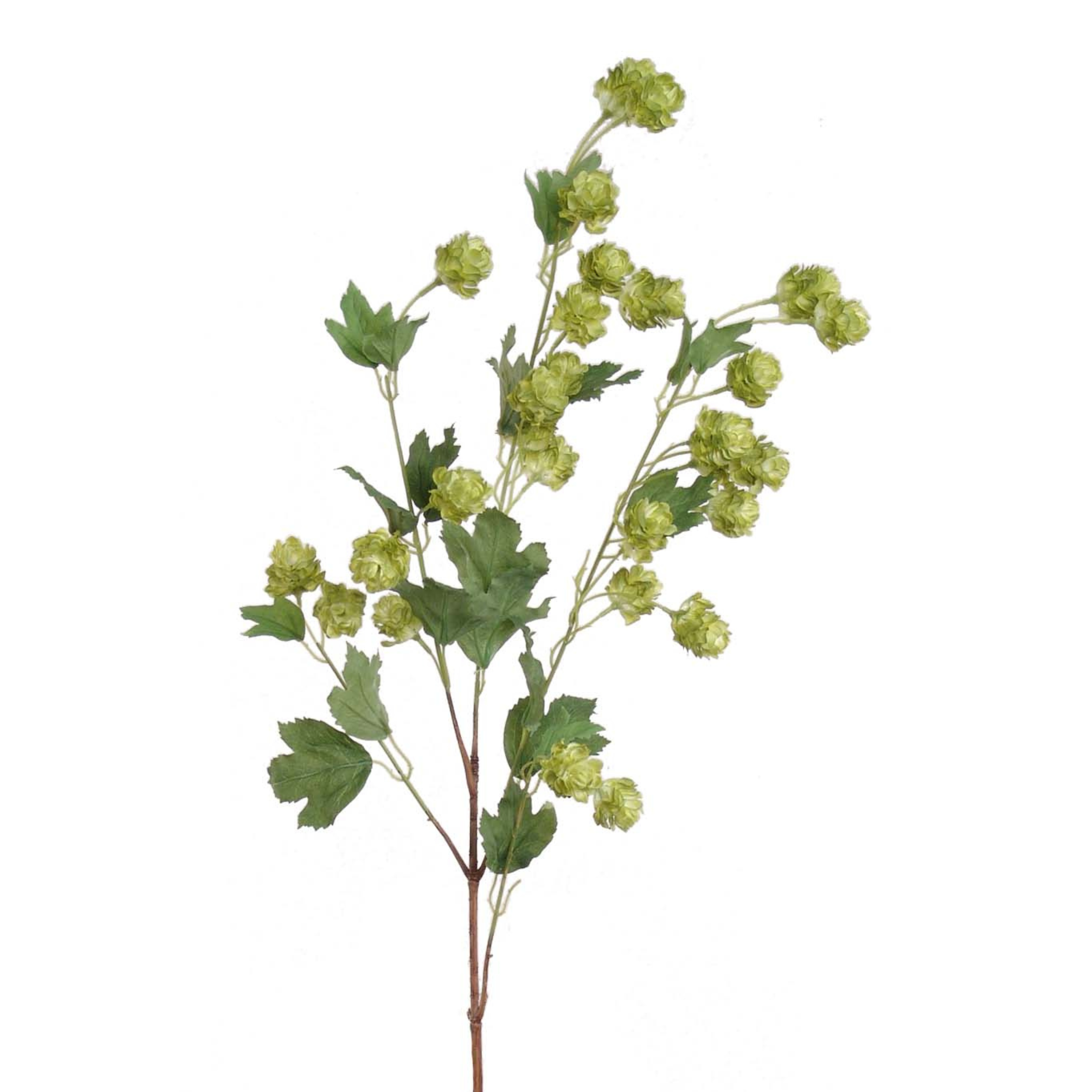 39" Hop Spray - Larksilk
