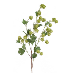 39" Hop Spray - Larksilk