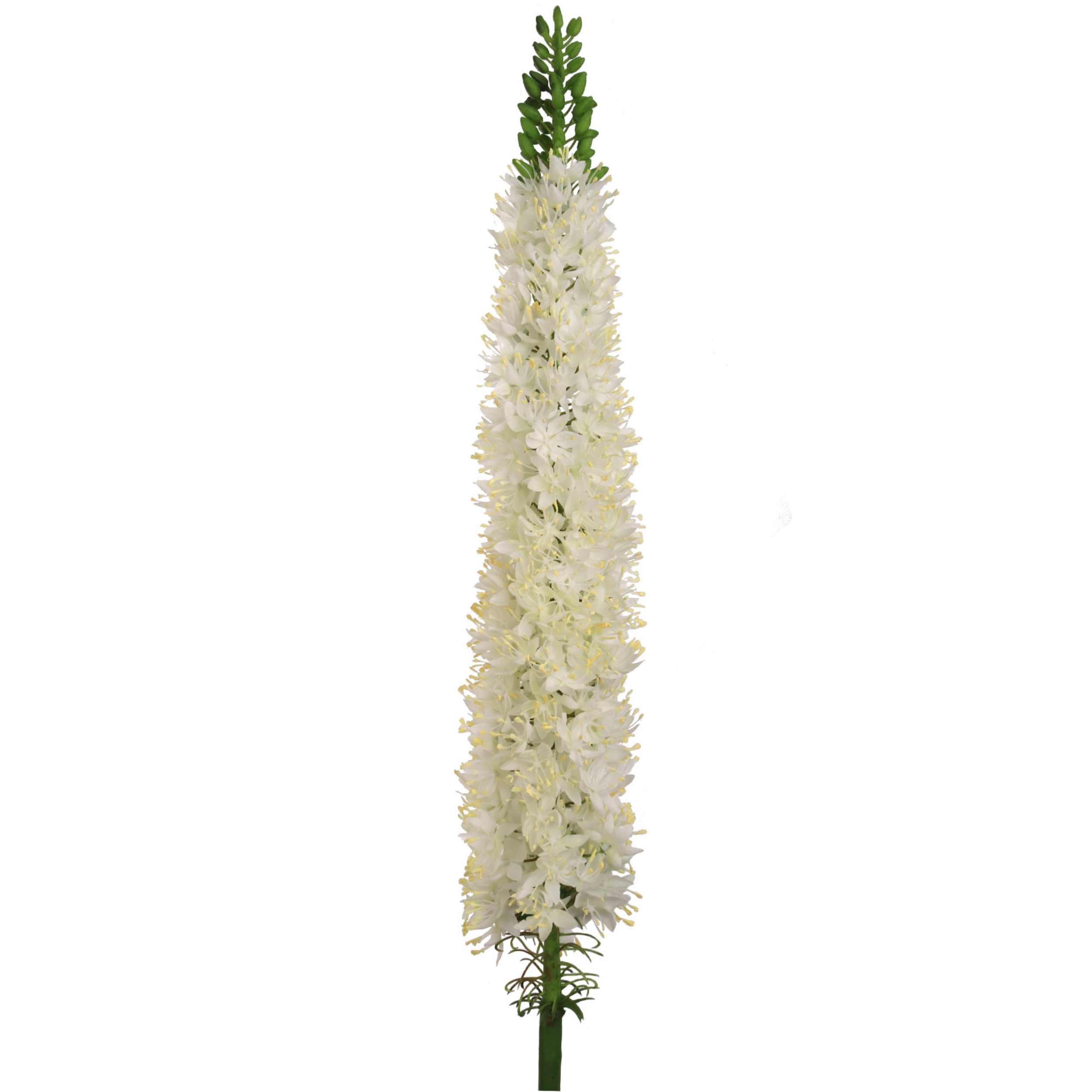 27" Foxtail Spray - Larksilk