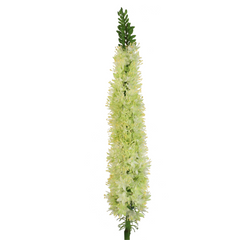 27" Foxtail Spray - Larksilk