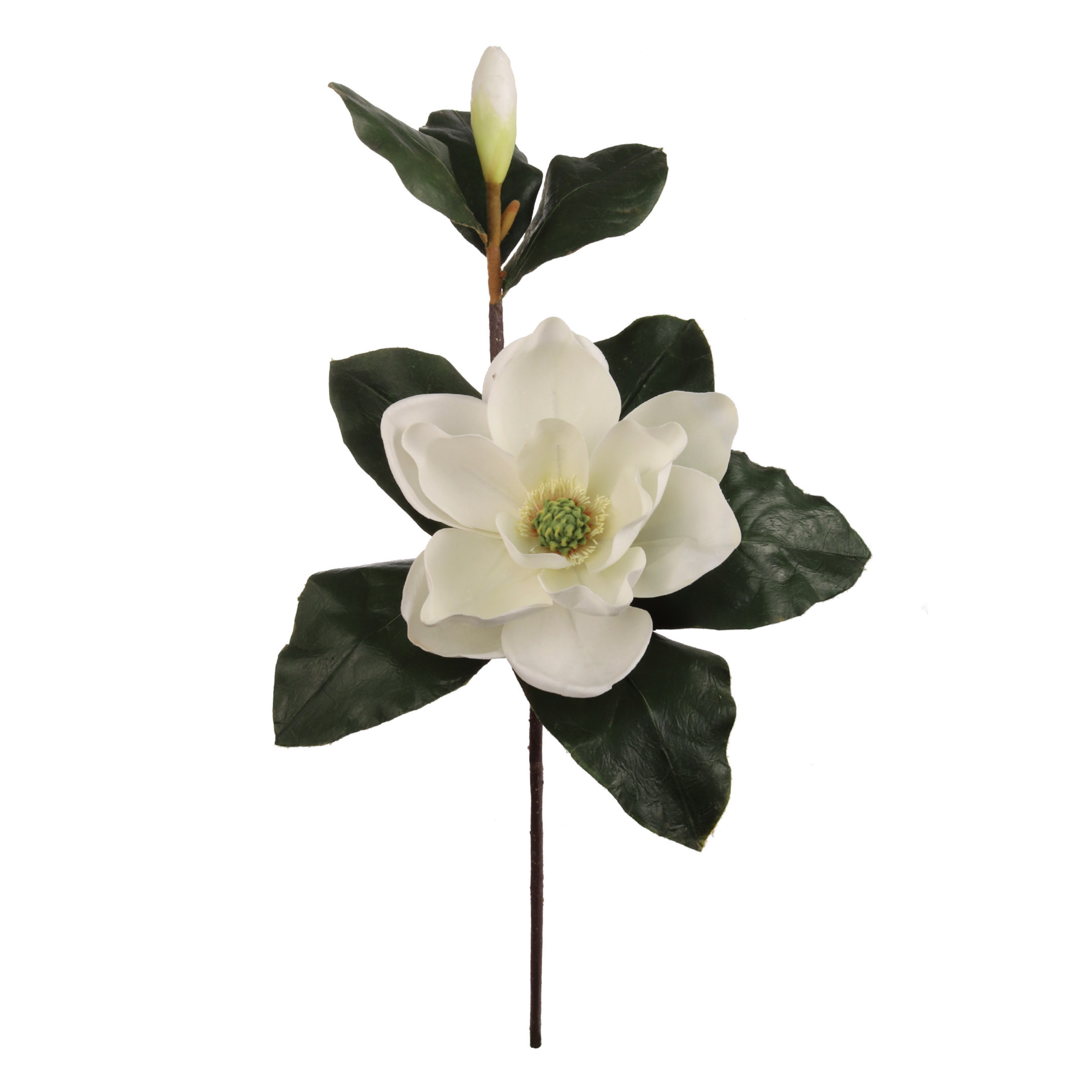 27" Magnolia Stem with Bud - Larksilk