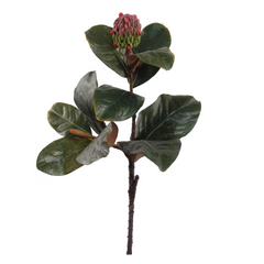 17" Magnolia Leaf Pick with Seed Pod - Larksilk