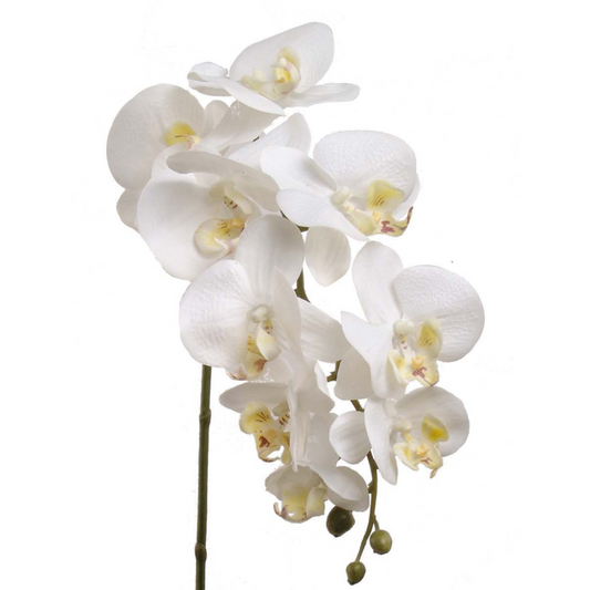 29" Phalaenopsis Orchid Stem - Larksilk