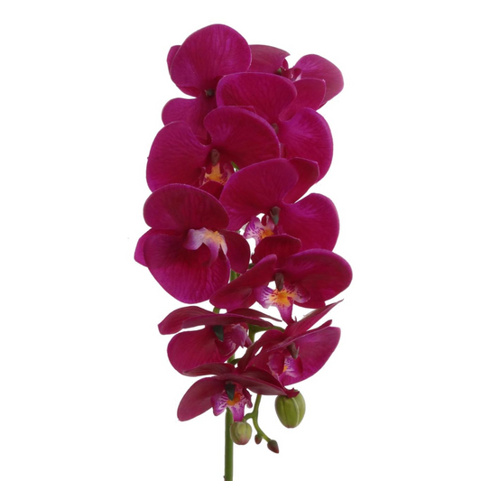 31" Phalaenopsis Orchid Stem -2025 Spring Collection - Larksilk