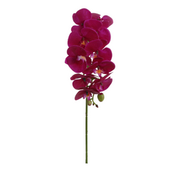 31" Phalaenopsis Orchid Stem -2025 Spring Collection - Larksilk