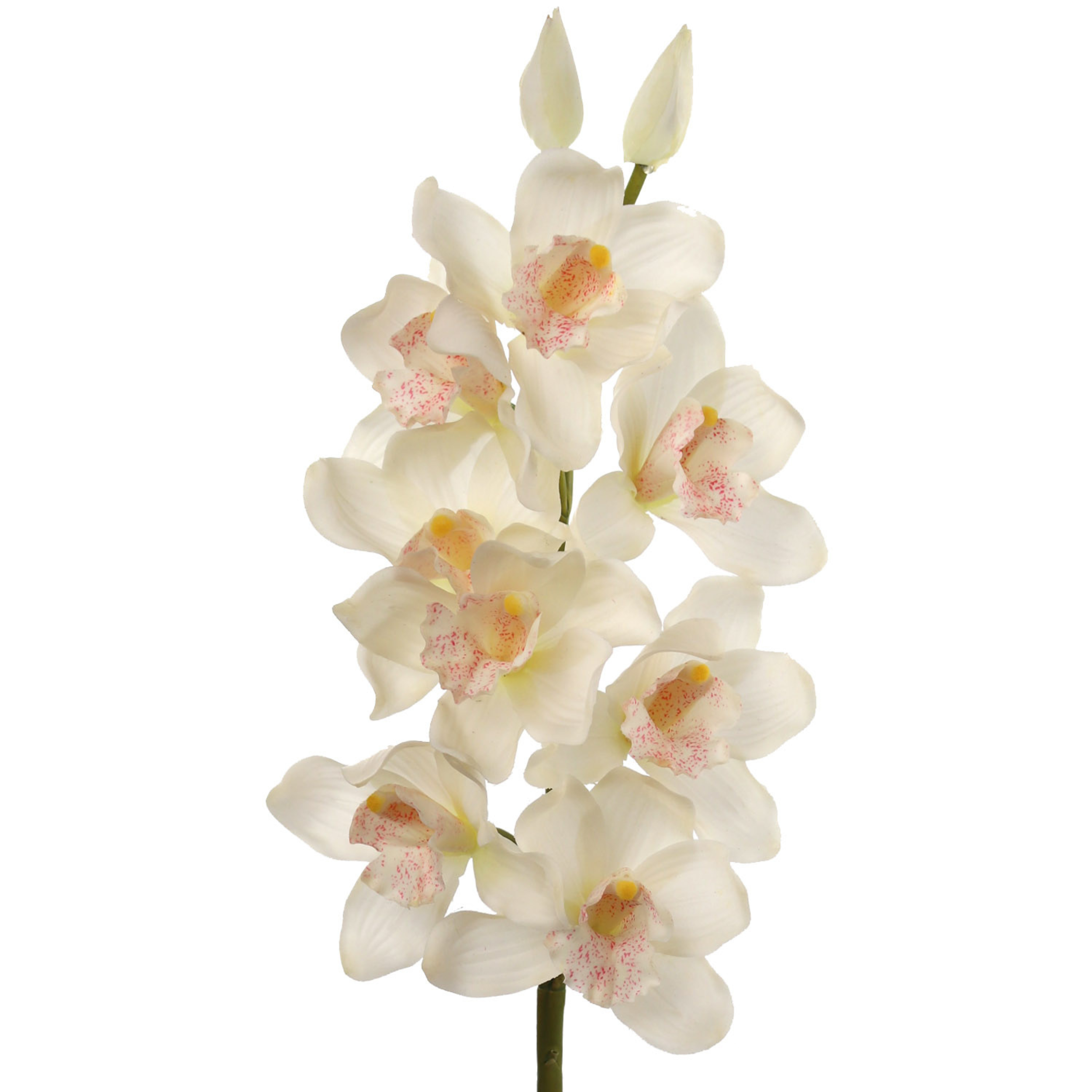 30" Cymbidium Orchid Stem - Larksilk