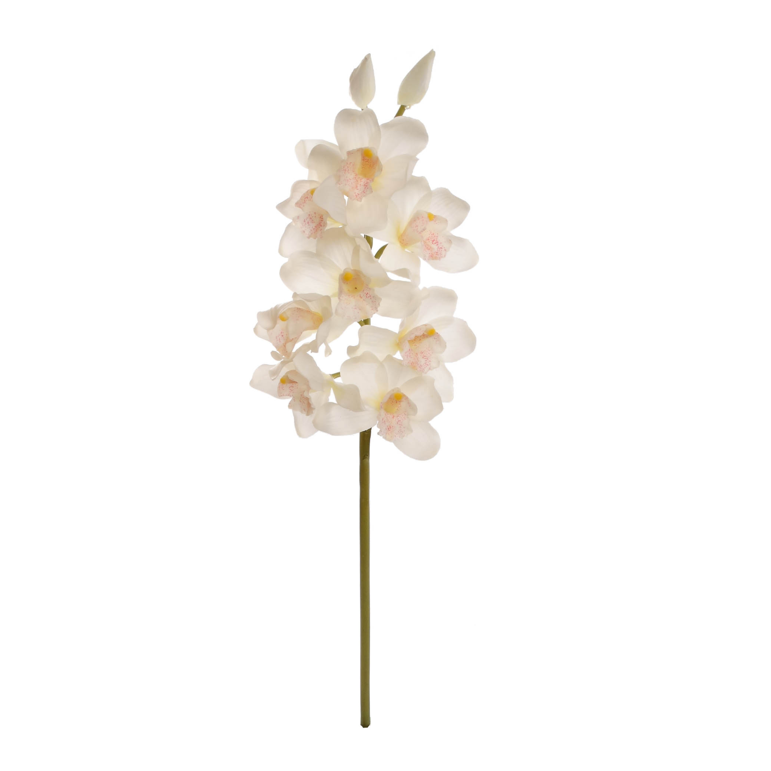30" Cymbidium Orchid Stem - Larksilk
