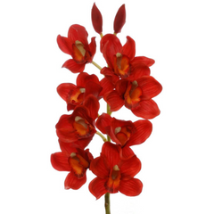 30" Cymbidium Orchid Stem - Larksilk
