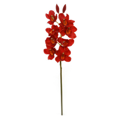30" Cymbidium Orchid Stem - Larksilk