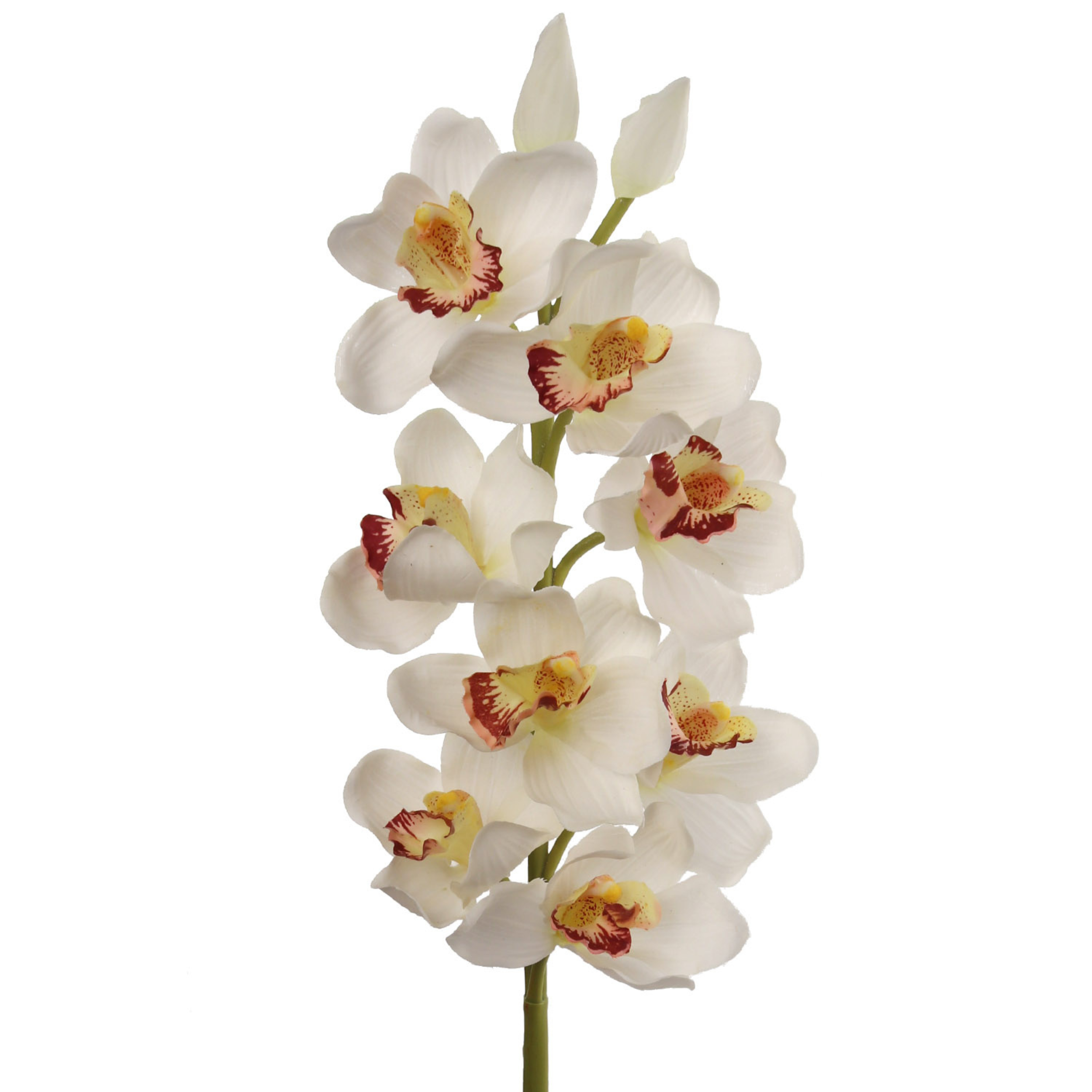 30" Cymbidium Orchid Stem - Larksilk