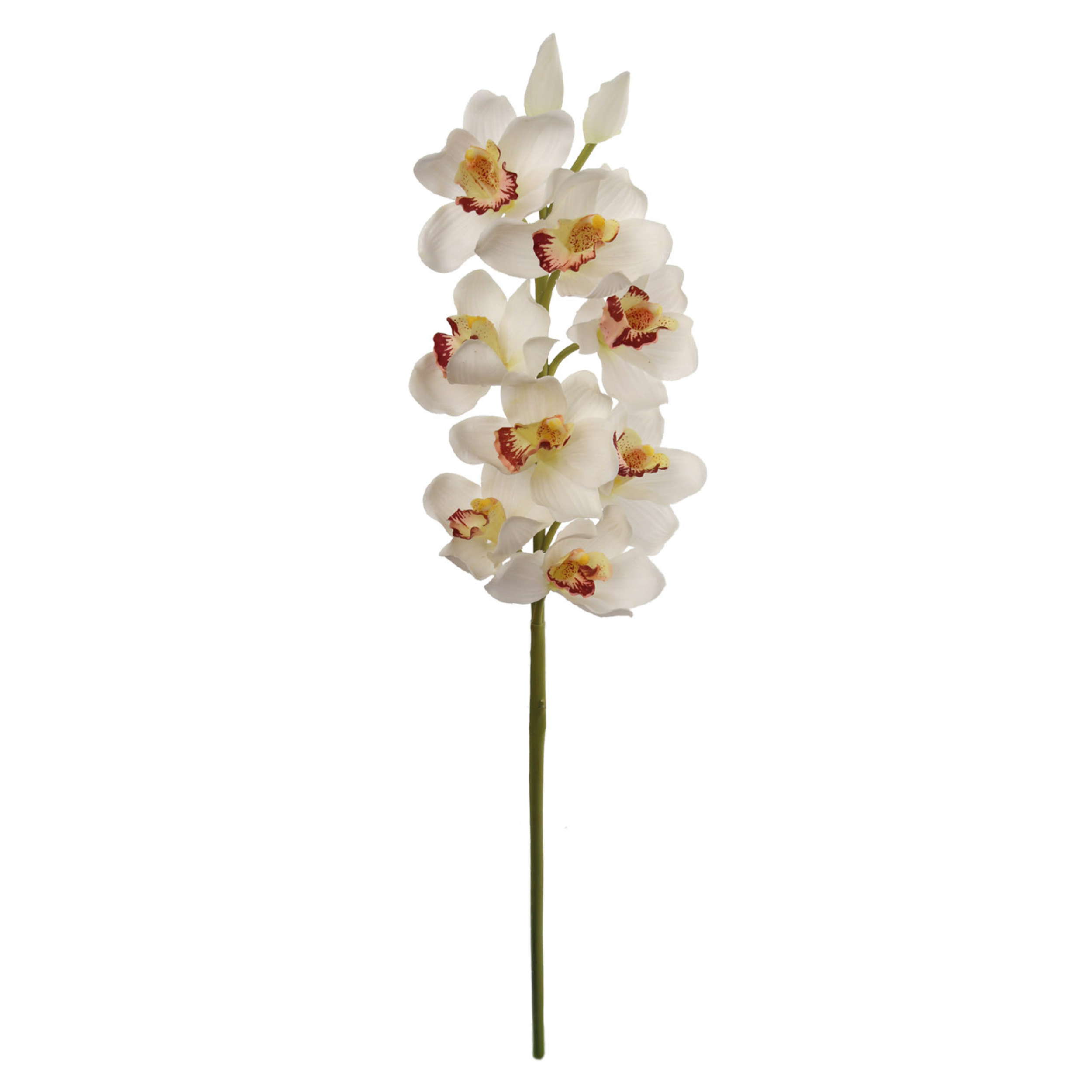 30" Cymbidium Orchid Stem - Larksilk