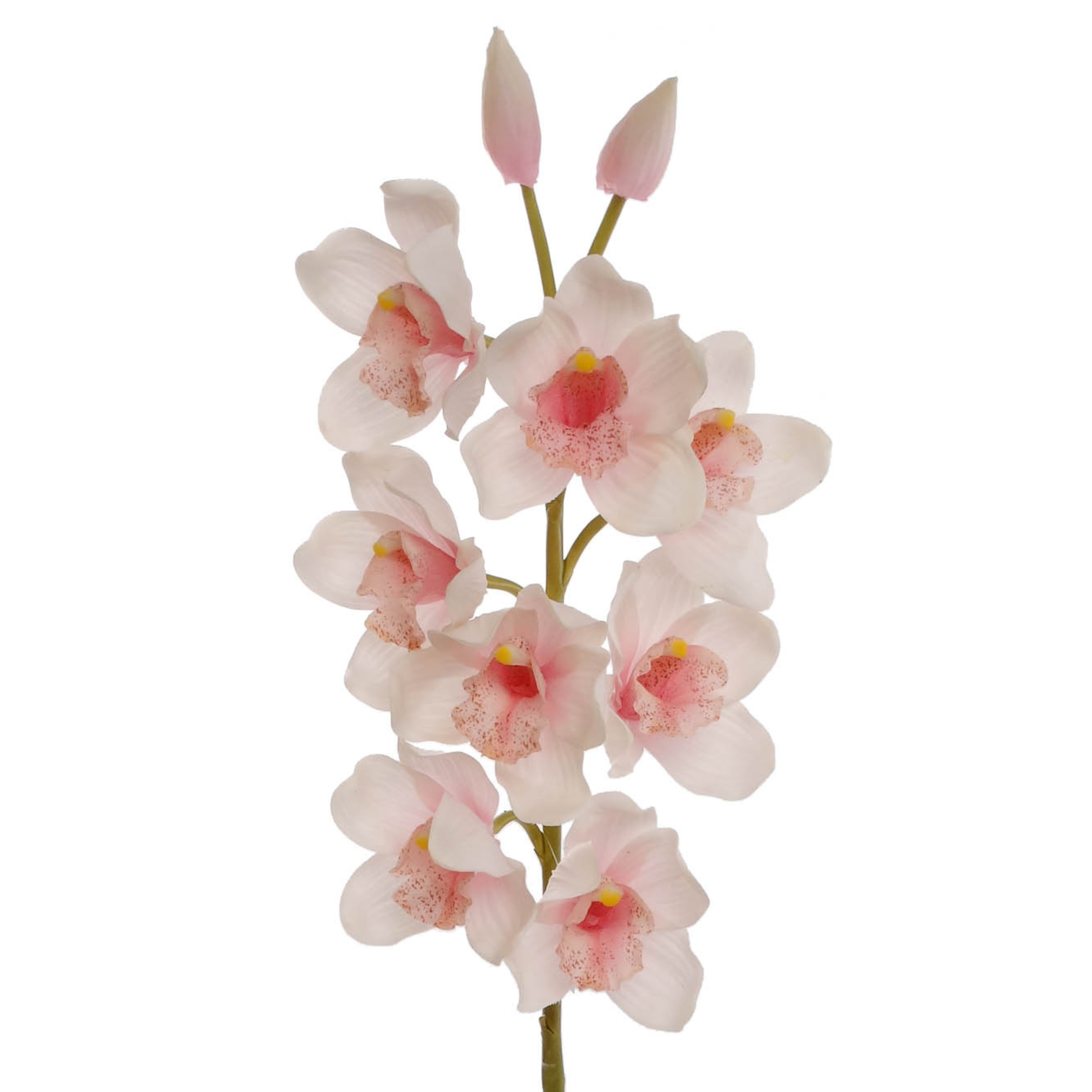 30" Cymbidium Orchid Stem - Larksilk