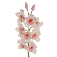 30" Cymbidium Orchid Stem - Larksilk