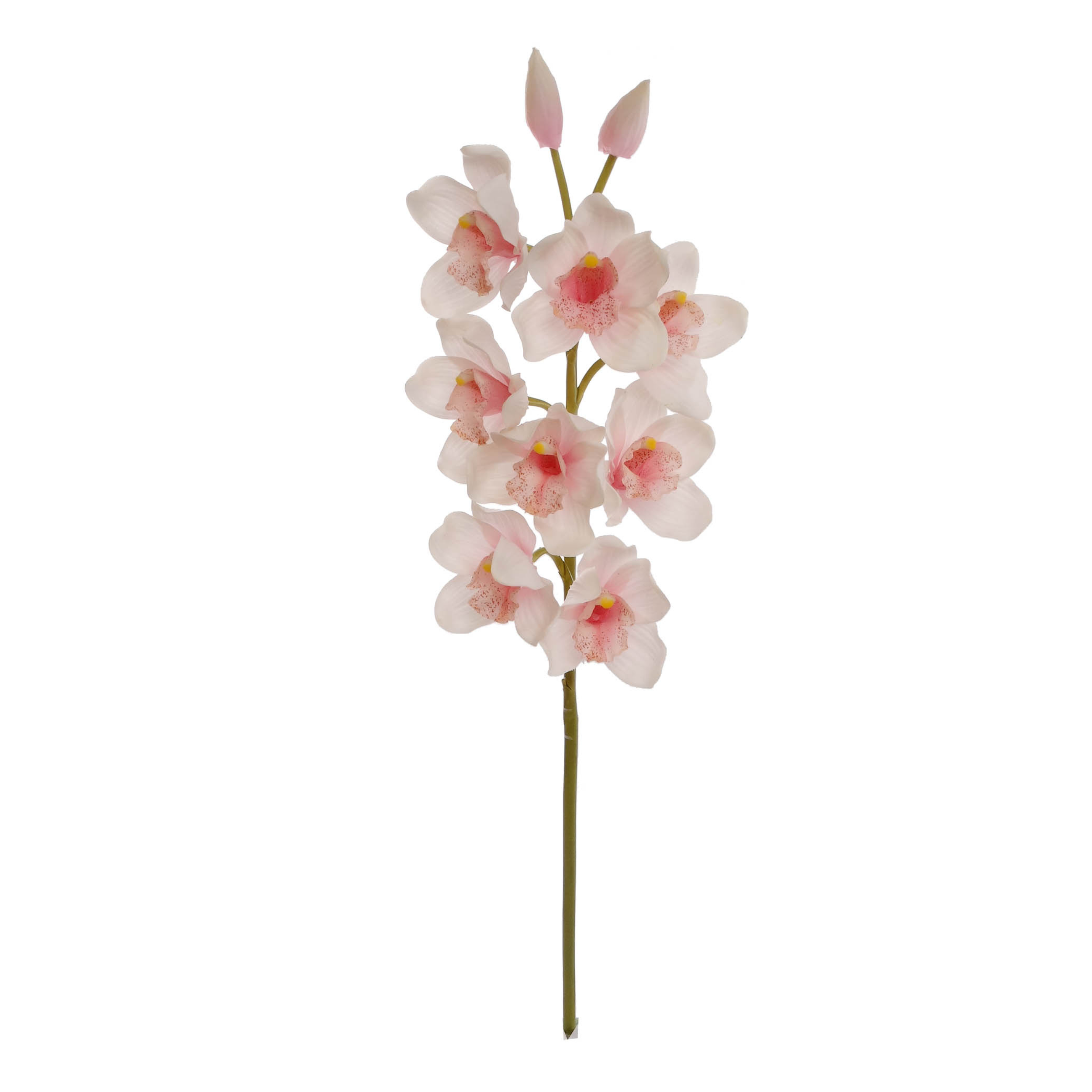 30" Cymbidium Orchid Stem - Larksilk
