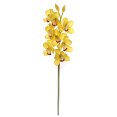 30" Cymbidium Orchid Stem - Larksilk