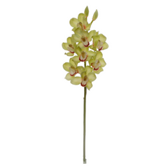 30" Cymbidium Orchid Stem - Larksilk