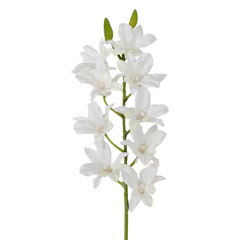 24" Dendrobium Orchid Spray - Larksilk