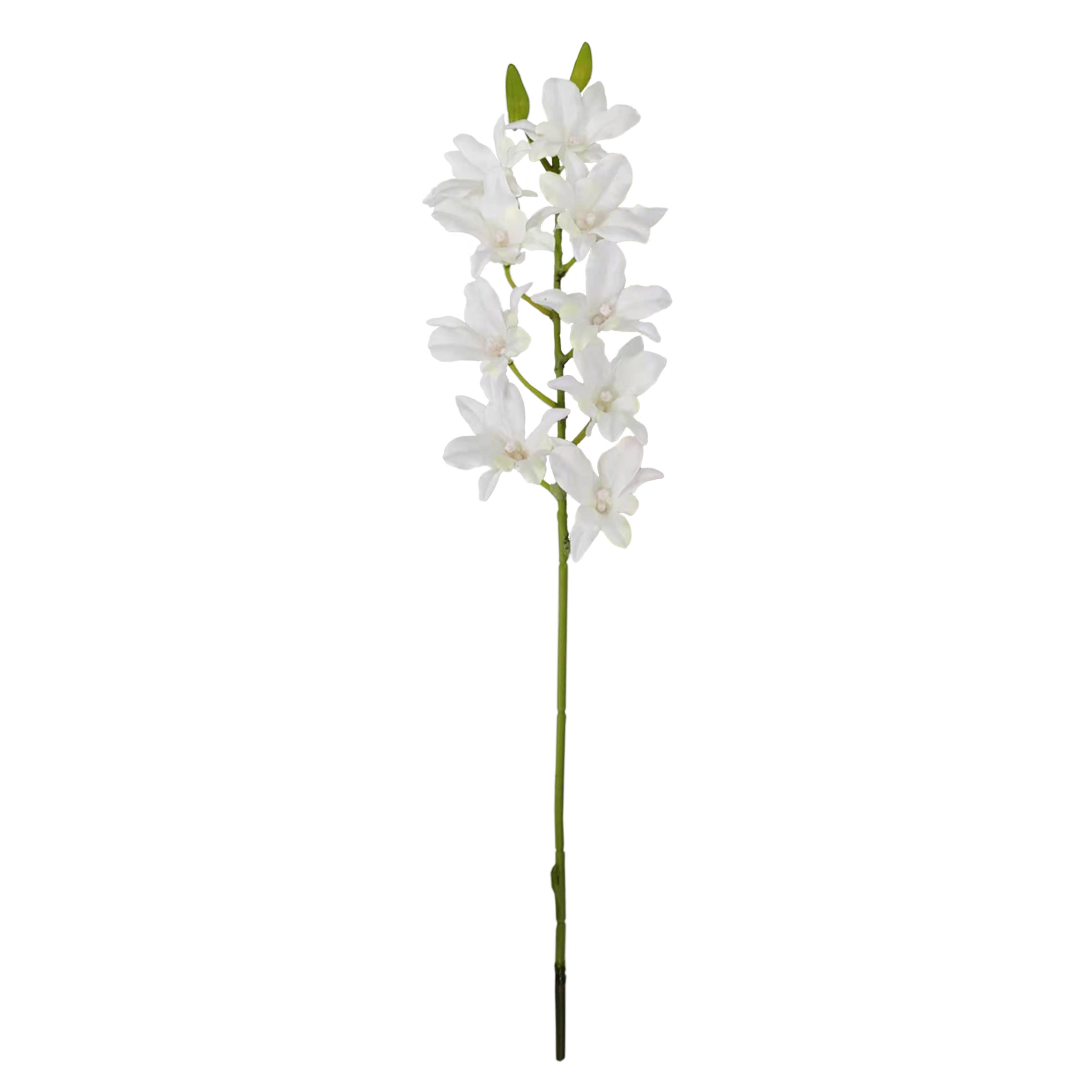 24" Dendrobium Orchid Spray - Larksilk