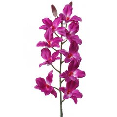 24" Dendrobium Orchid Spray