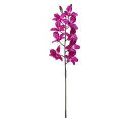 24" Dendrobium Orchid Spray