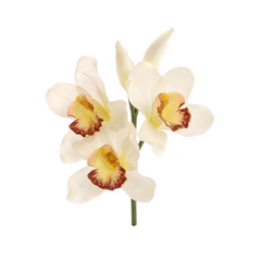 10" Cymbidium Orchid Pick