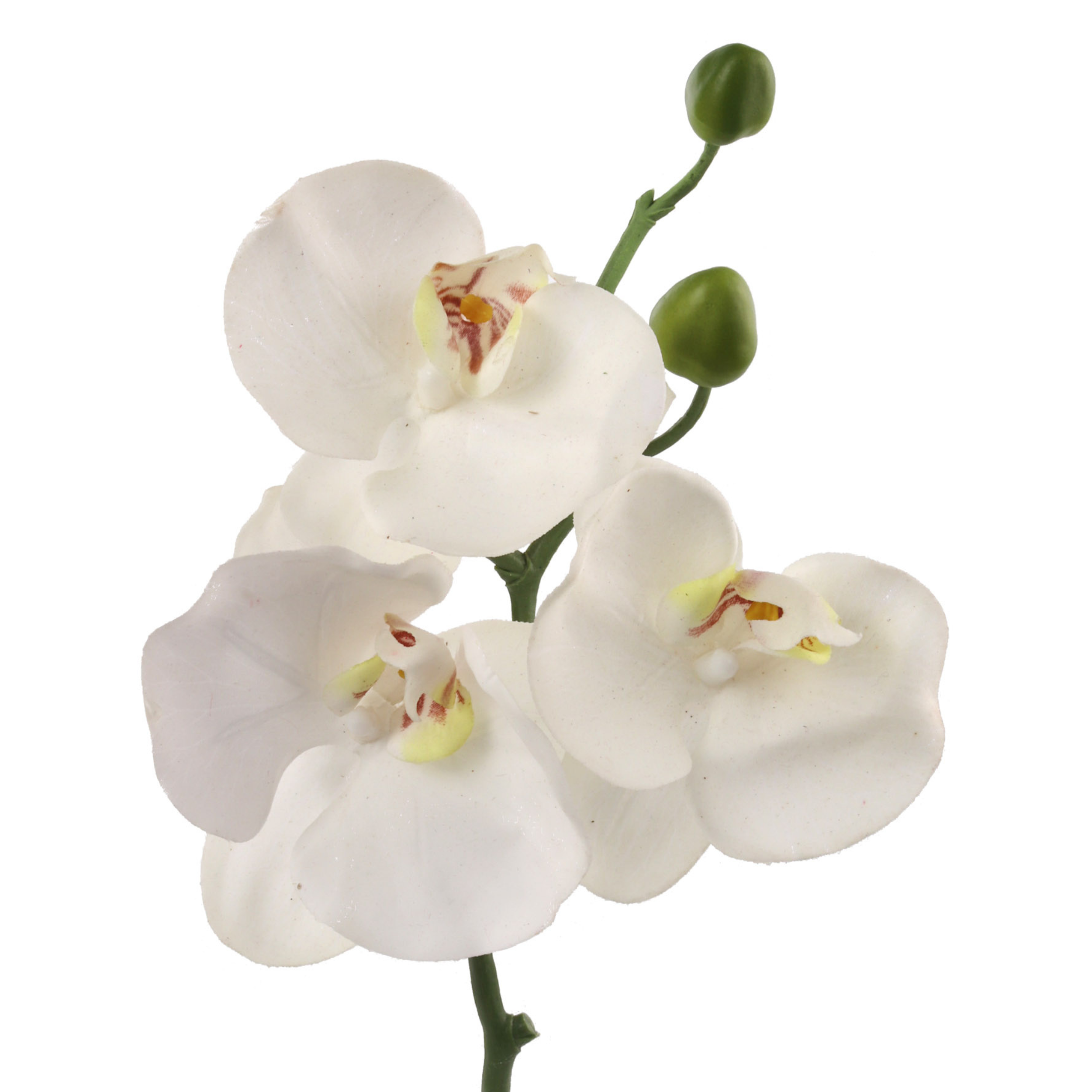 10" Phalaenopsis Orchid Pick - Larksilk