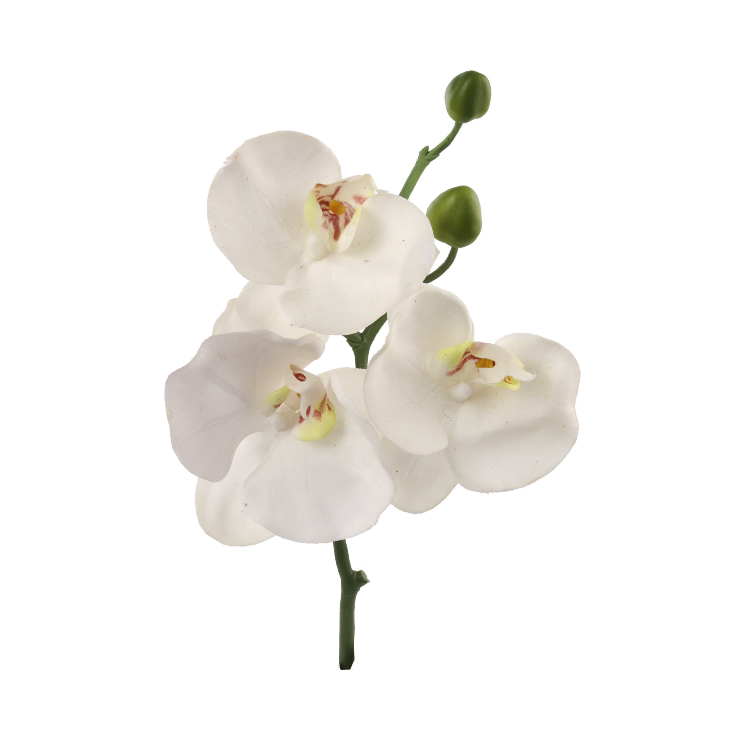 10" Phalaenopsis Orchid Pick - Larksilk